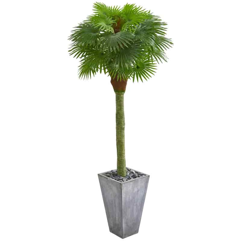 Product thumbnail 1