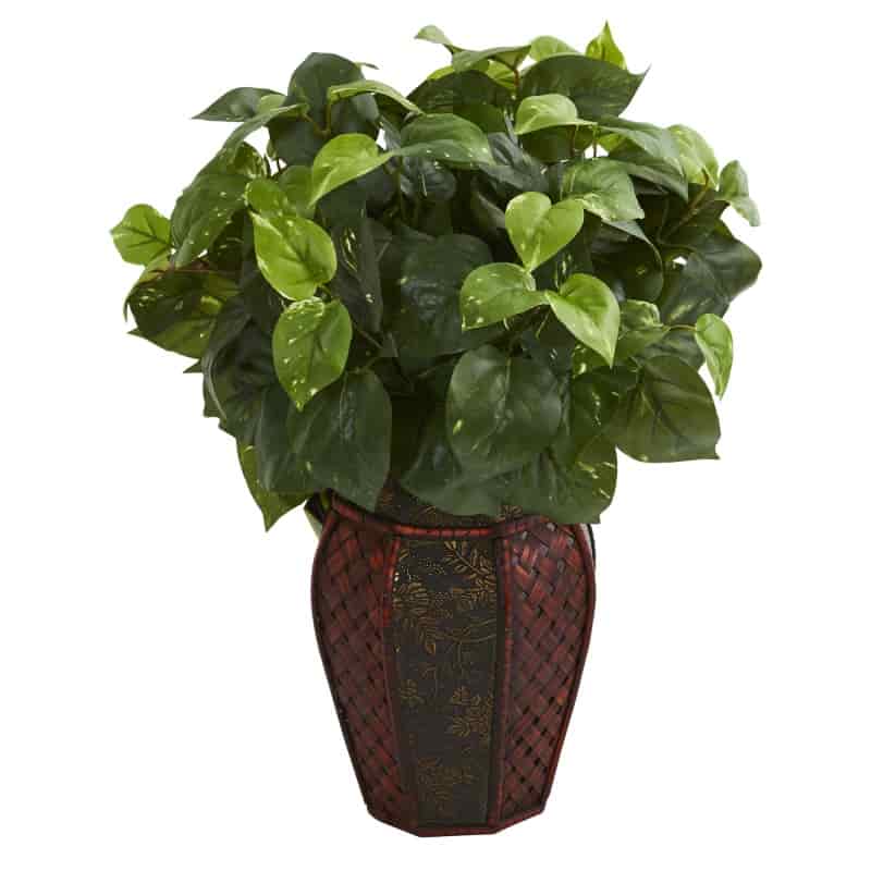 Product thumbnail 1