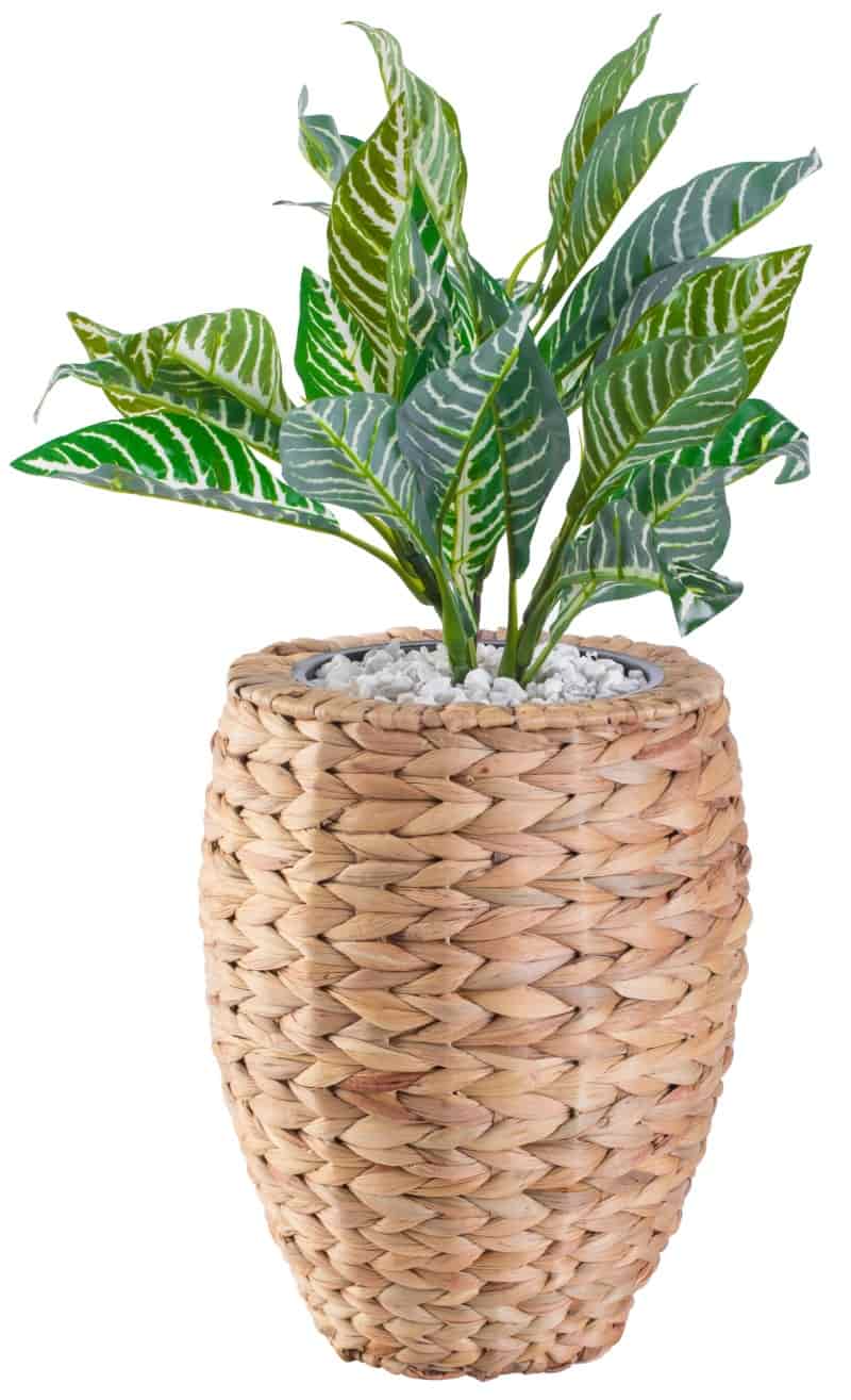 Product thumbnail 10