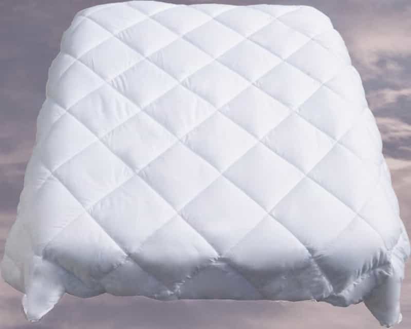 Aloe Vera Quilt, Twin Duvet Cover Filler White Goose Down Alternative Comforter