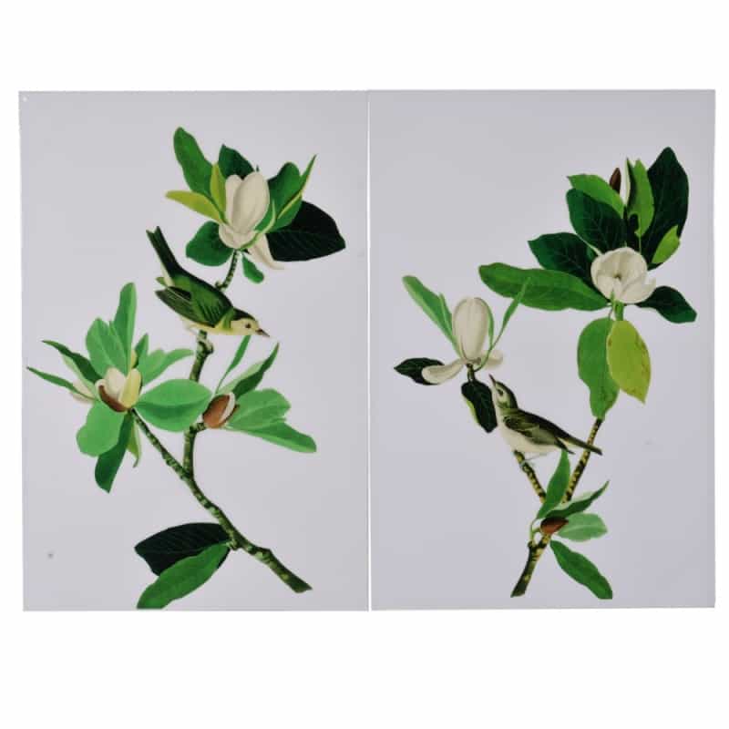 Magnolia Blooms Wall Art On Wooden Base, Multicolor, Set Of 2