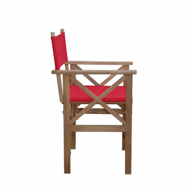 Director Folding Armchair W/ Canvas, Set Of 2