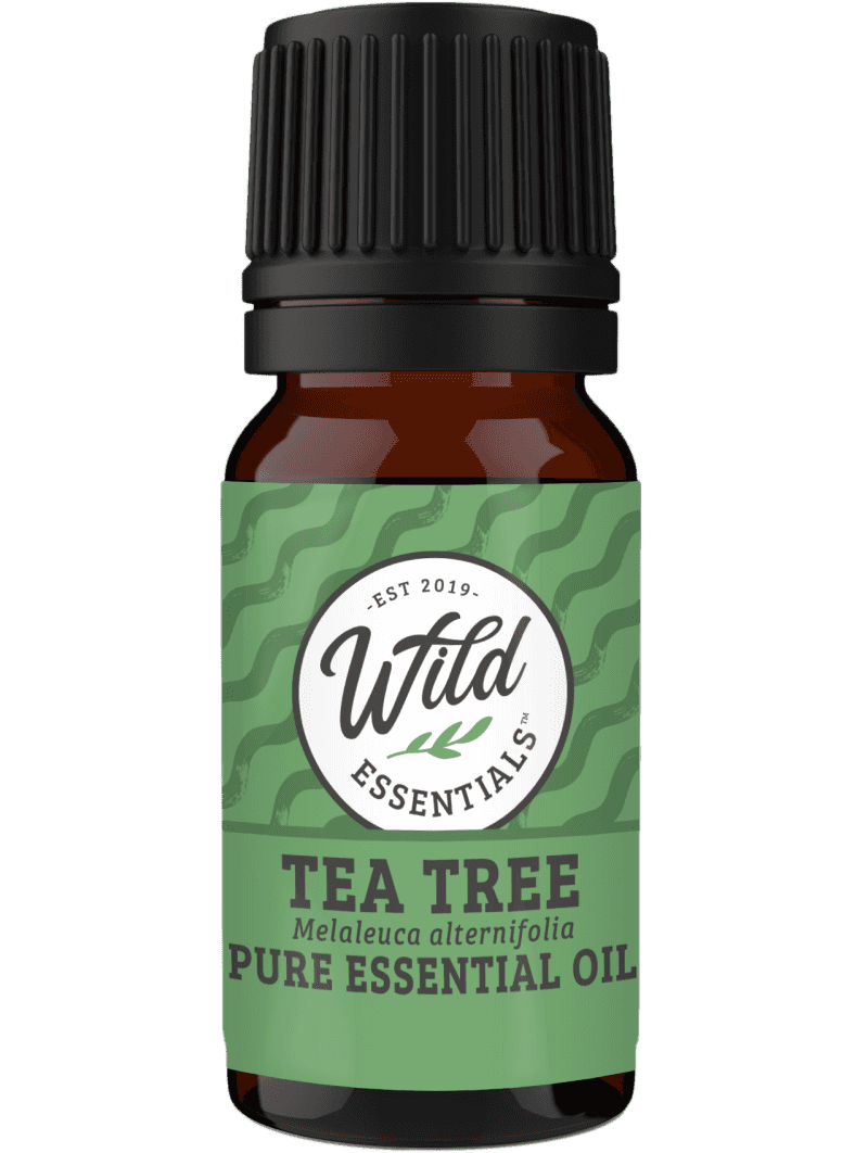 Essential Oil - Tea Tree - 10 Ml Bottle