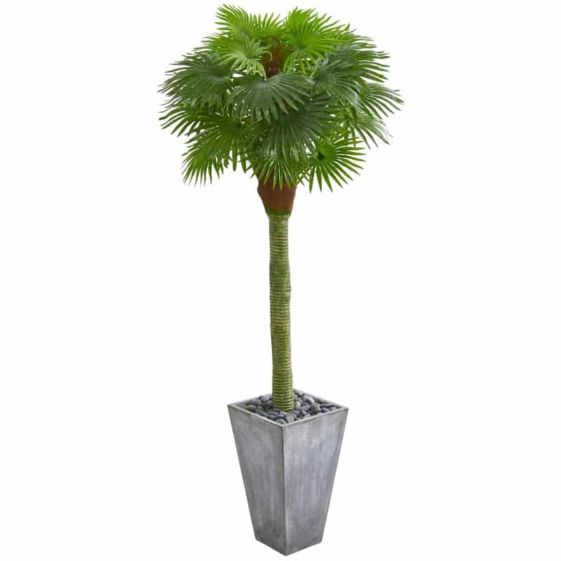 6.5’ Fan Palm Artificial Tree In Cement Planter Uv Resistant (Indoor/Outdoor)