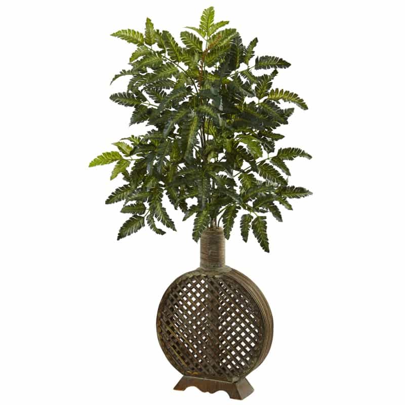 Bracken Fern With Open Weave Planter