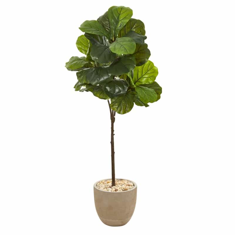 51” Fiddle Leaf Artificial Tree In Sandstone Planter (Real Touch)
