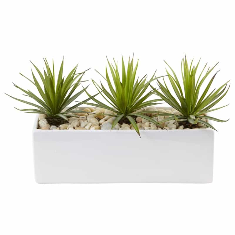 Mini Agave In Rectangular Ceramic