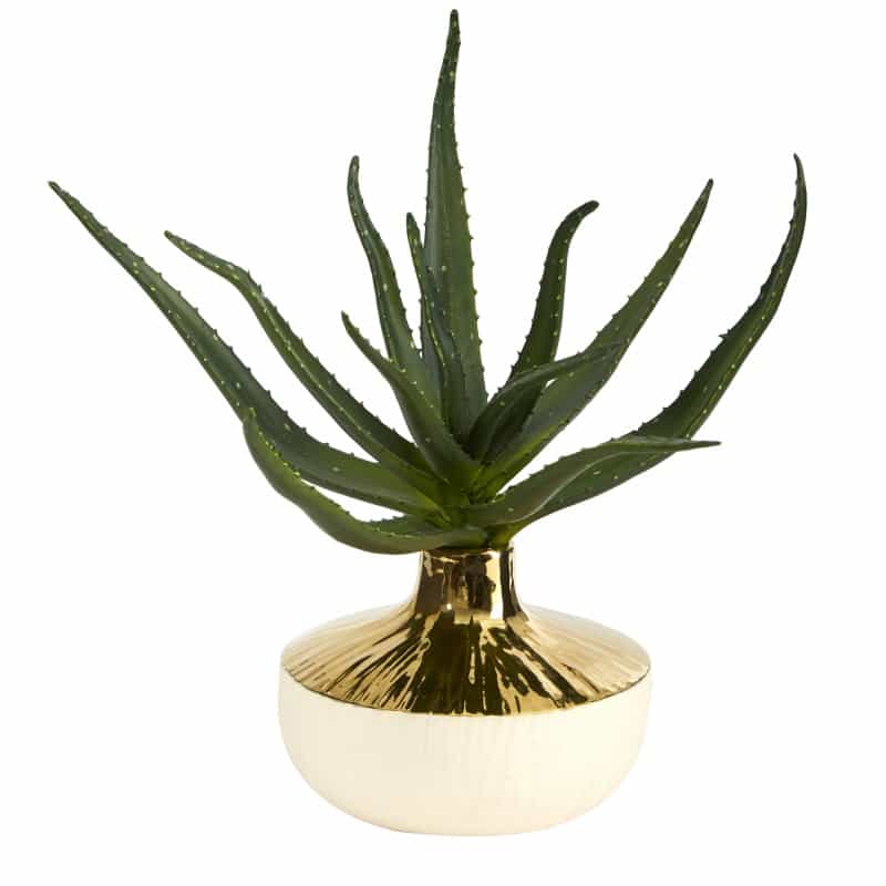 12” Aloe Succulent Artificial Plant In Gold And Cream Elegant Planter