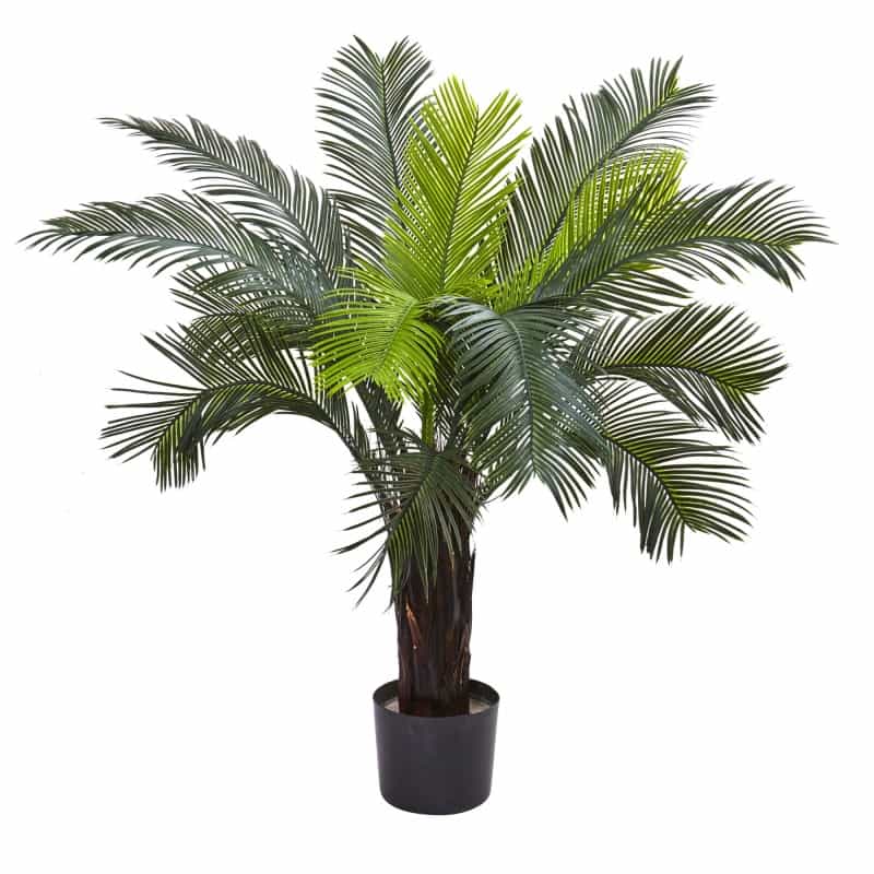 3’ Cycas Tree Uv Resistant (Indoor/Outdoor)