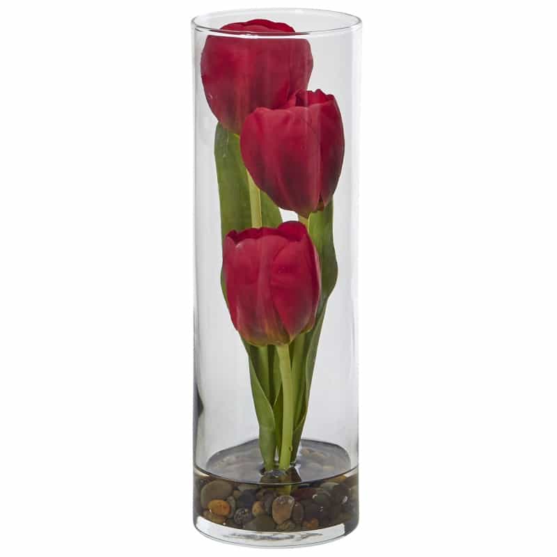 Tulips In Cylinder Glass