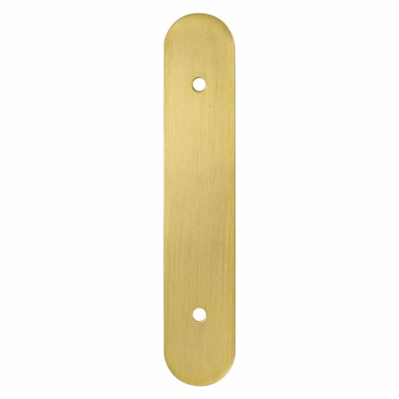 Galloway Zinc Pull Backplate - Modern Brushed Gold