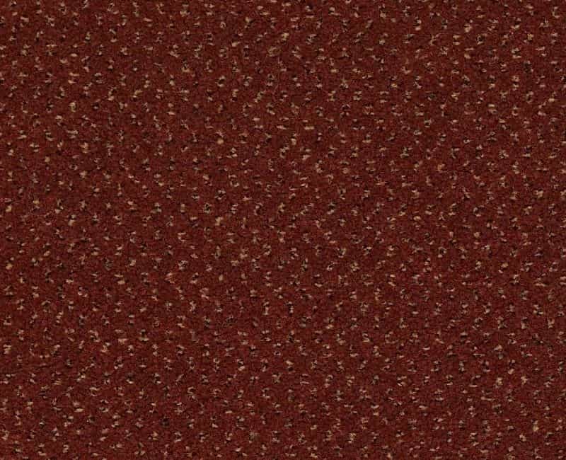 Clearance Sale! Future Generations Red Nylon Carpet - Textured