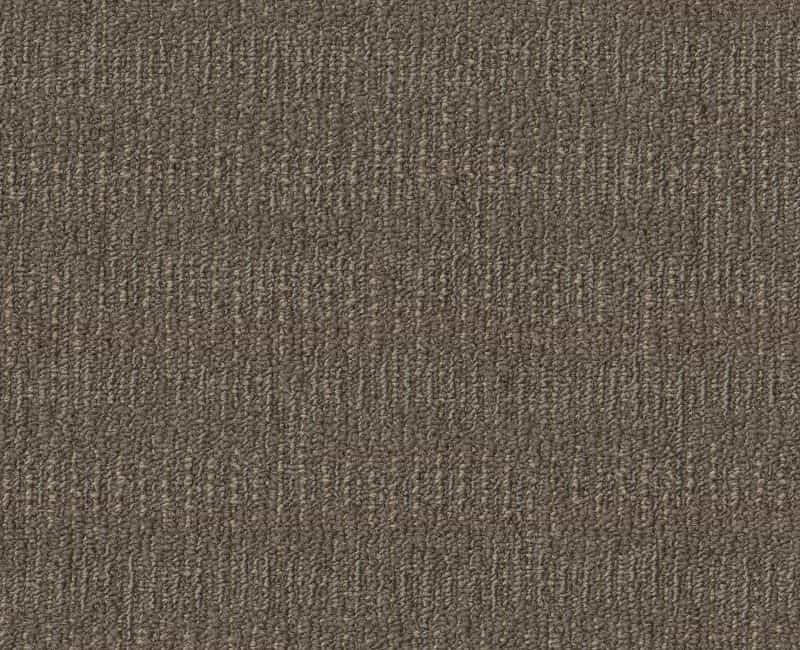 Clearance Sale! Construct Fabricate Beige Nylon Carpet - Pattern
