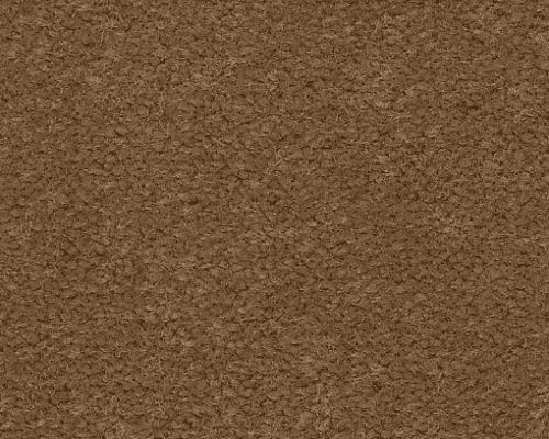 Emphatic Ii 30 Cajun Nylon Carpet - Textured