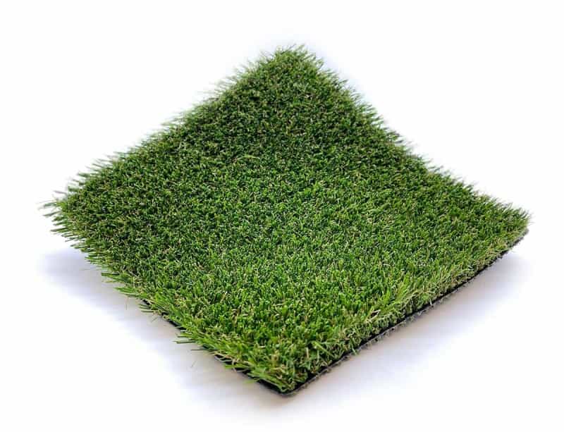 Smart Pet Plus Field Green / Clover Green Polyethylene & Polypropylene Landscape Turf - Polyurethane