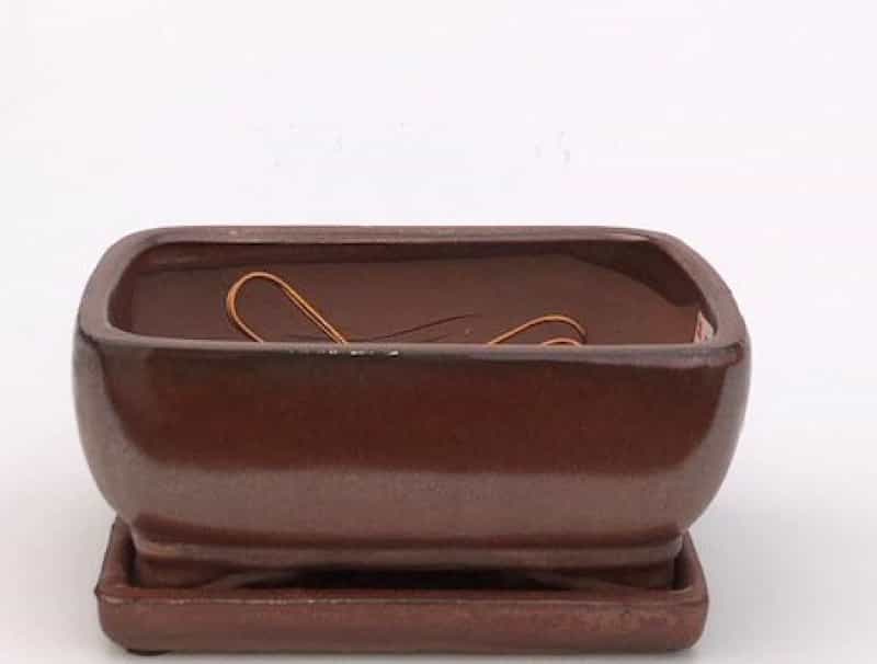 Aztec Orange Ceramic Bonsai Pot Professional Series Rectangle - With Attached Humidity/Drip Tray 8.25" X 6.5" X 4"