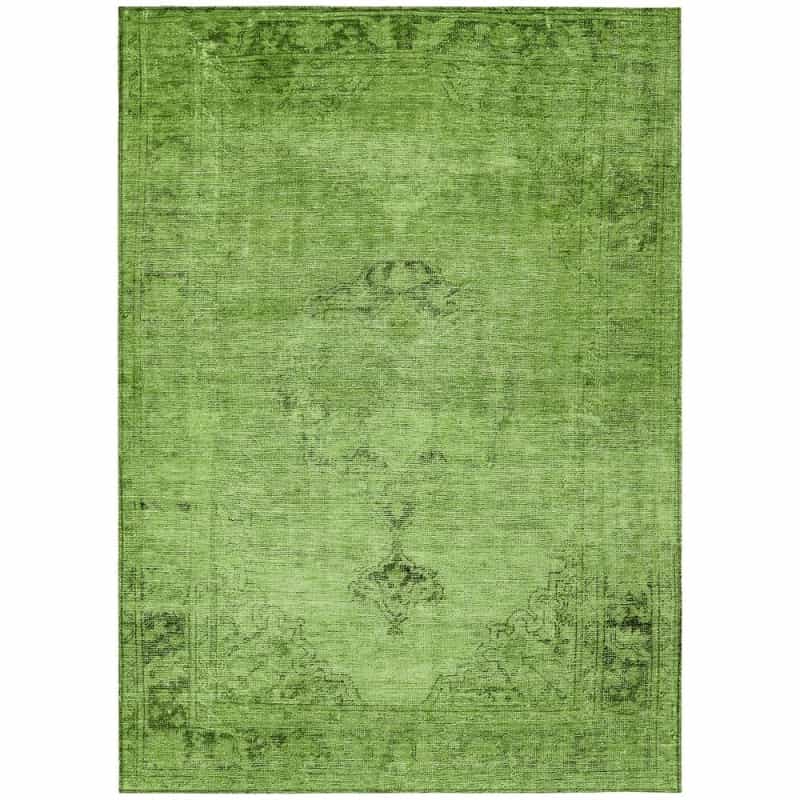 Chantille Acn658 Green 3' X 5' Rug