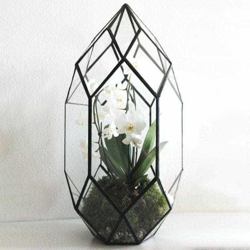 Ferrisland® Irregular Geometric Terrarium