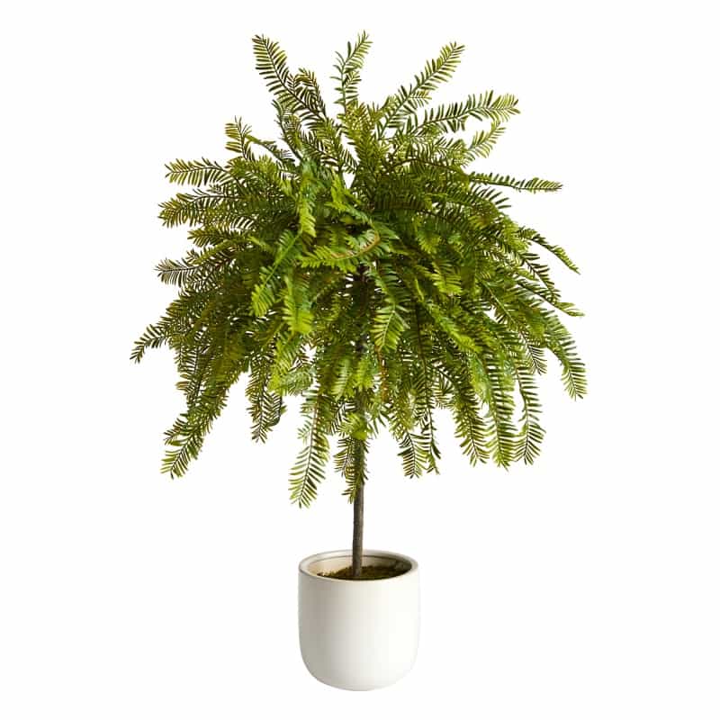 2' Northern Californian Cedar Canopy Artificial Tree In Decorative Planter
