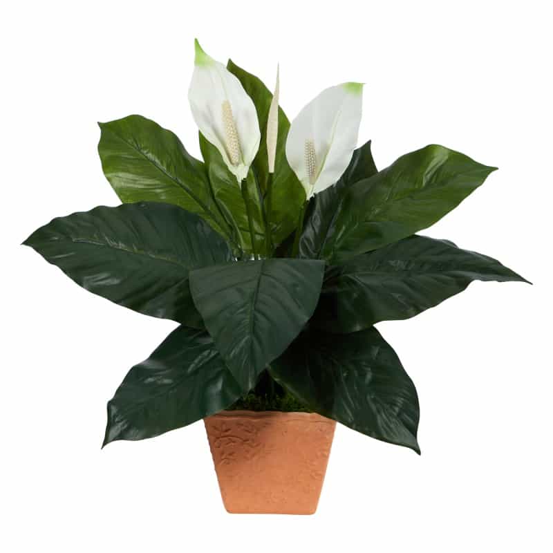 2’ Spathiphyllum Artificial Plant In Terra-Cotta Planter