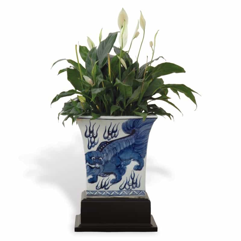 Chow Blue Square Planter With Stand