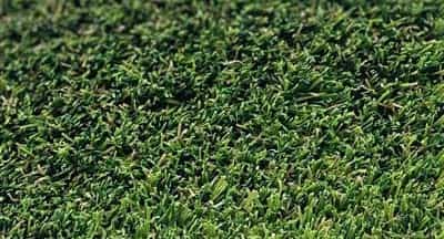 First Cut Field Green / Clover Green Polyethylene & Polypropylene Landscape Turf - Polyurethane