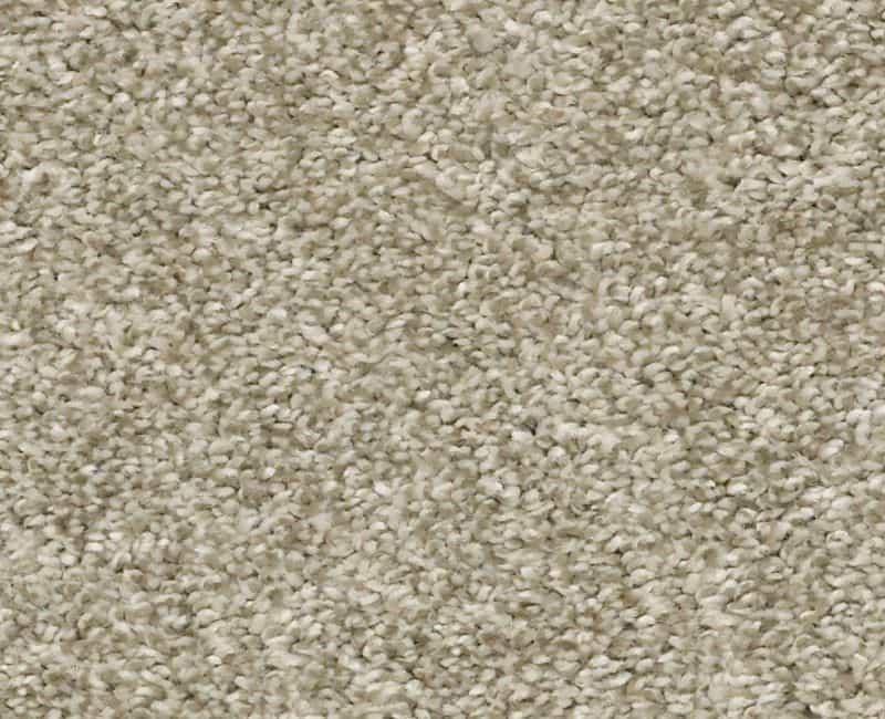 You Got It I Latte Polyester Carpet - Textured