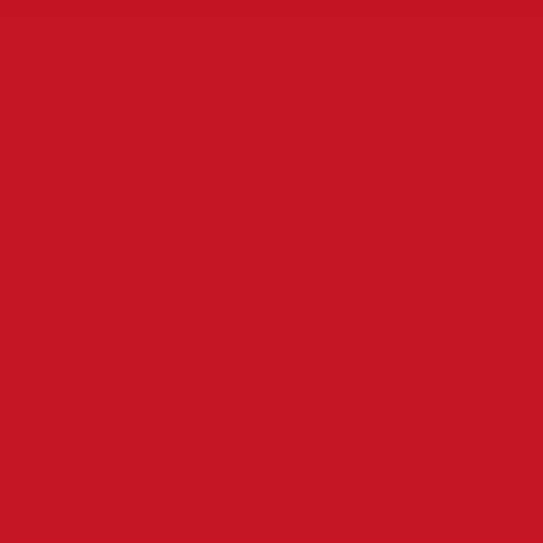 Color Red Pepper Ceramic Tile - Glossy