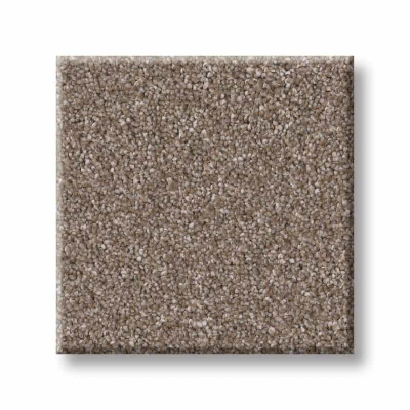 Imaginable Ii Weathered Polyester Carpet - Textured