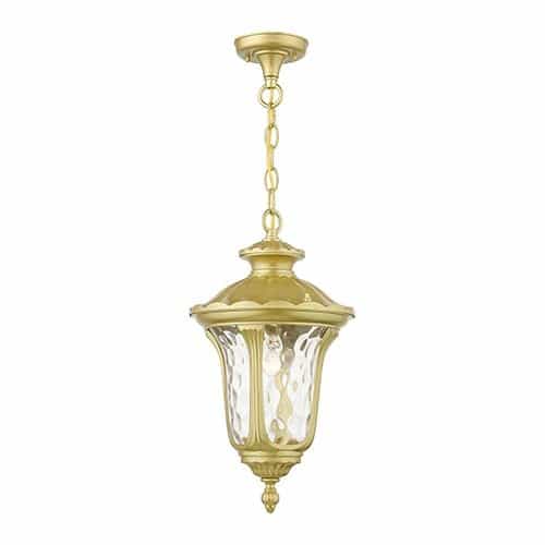 Livex Lighting Oxford Outdoor Medium Pendant Lantern