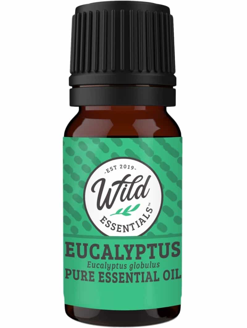 Essential Oil - Eucalyptus - 10Ml Bottle