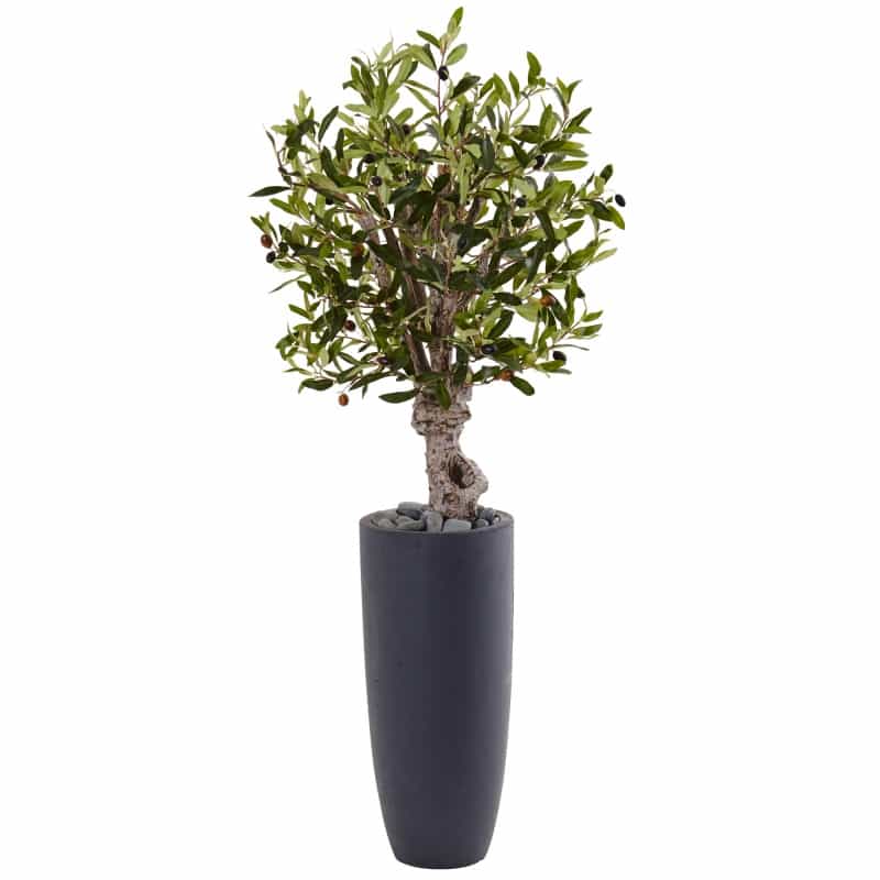 3.5’ Olive Tree In Gray Cylinder Planter
