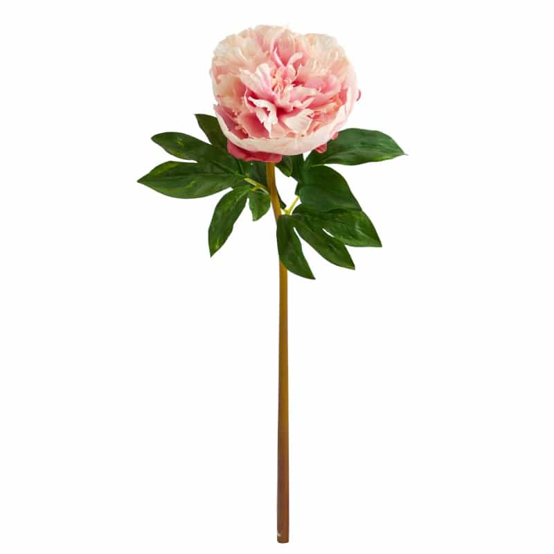 20” Peony Artificial Flower (Set Of 3)