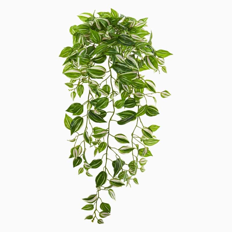 32” Wandering Jew Hanging Artificial Plant (Set Of 2) (Real Touch)