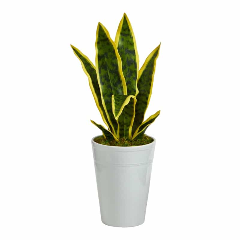 18” Sansevieria Artificial Plant In White Planter