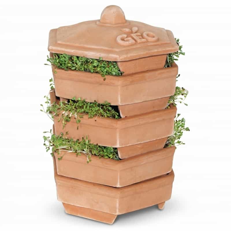 Geo Terradisiena 4-Tier Terracotta Sprouter