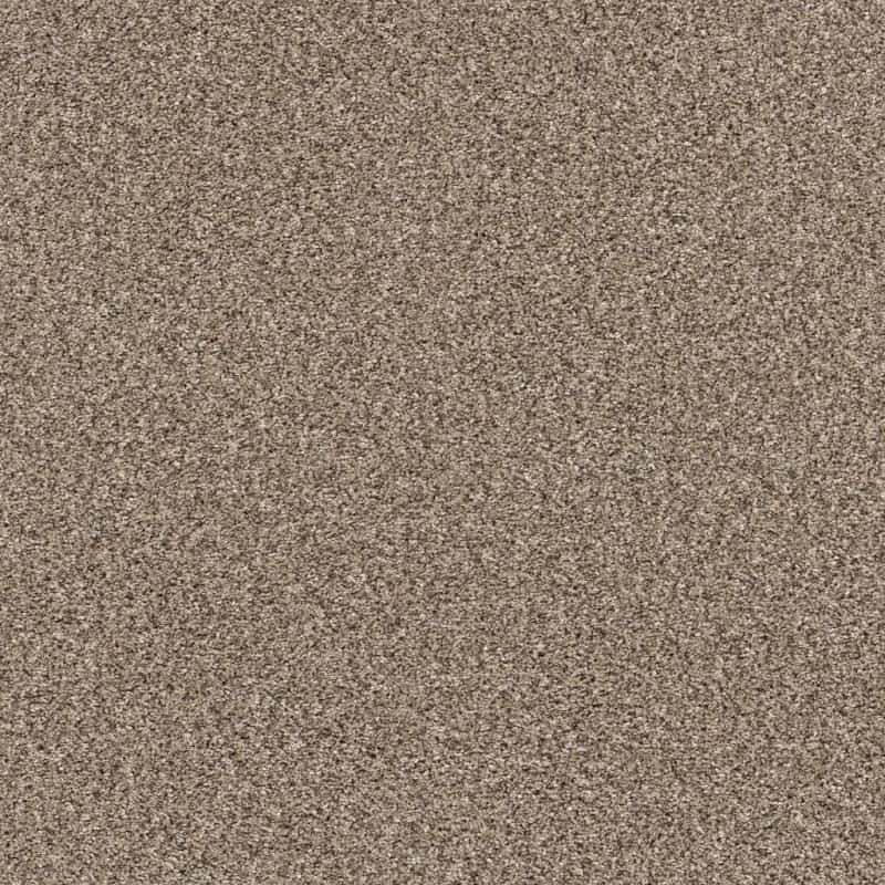 Pet Perfect Yes You Can Ii 12' Sea Shell Polyester Carpet - Textured