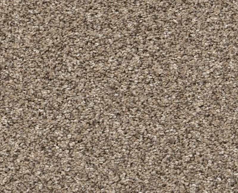 Yes You Can Ada Ii 12 Sea Shell Polyester Carpet - Textured