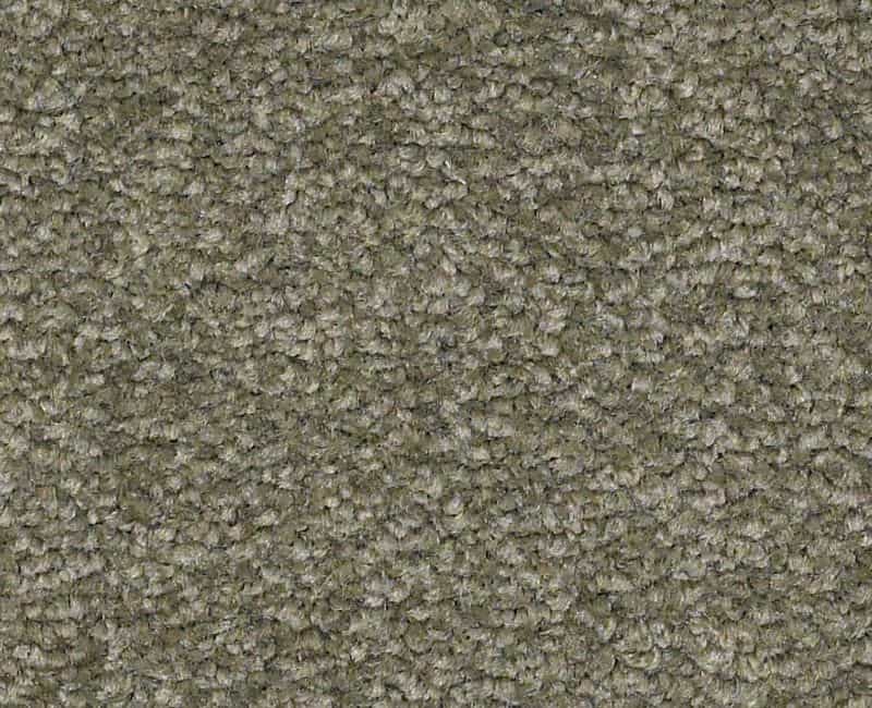 Magic Happens Pv Ii Garden Spot Nylon Carpet - Textured