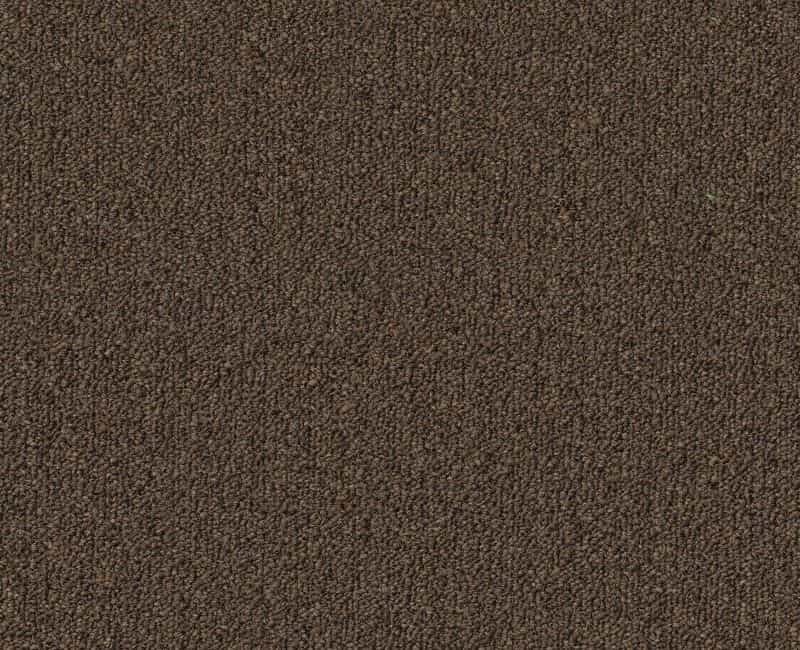 Clearance Sale! Profusion 26 Dark Brown Polyester Carpet - Loop