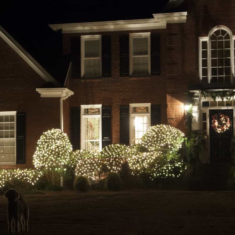Kringle Traditions, Clear Mini Christmas Net Lights On Green Wire