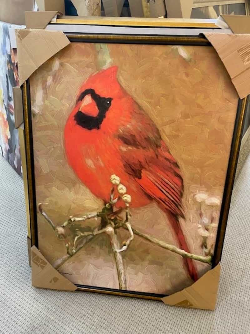 Framed Red Cardinal 36X48