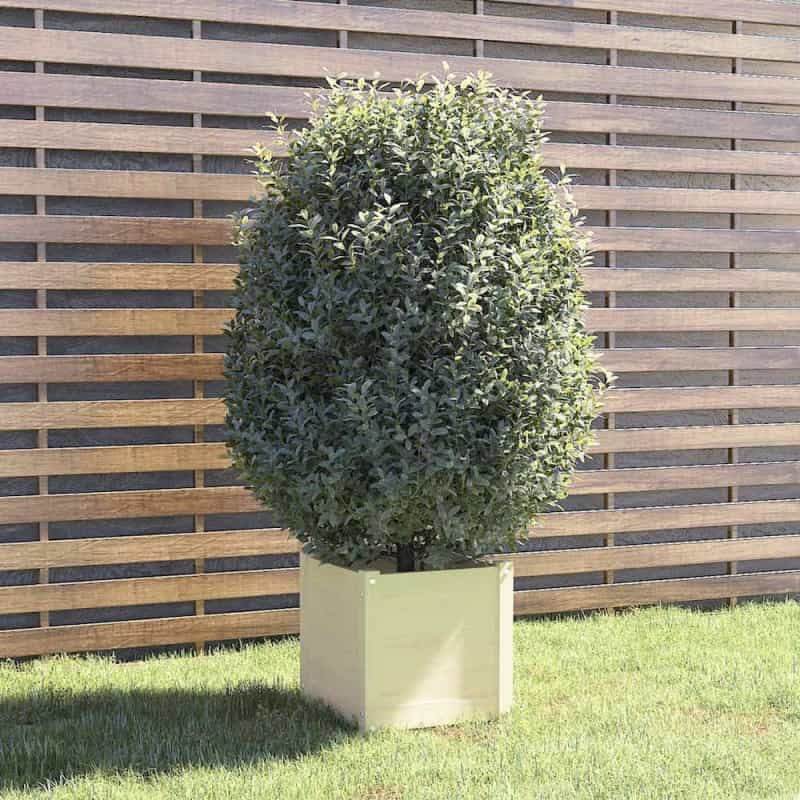 Vidaxl Garden Planter White 15.7"X15.7"X15.7" Solid Wood Pine