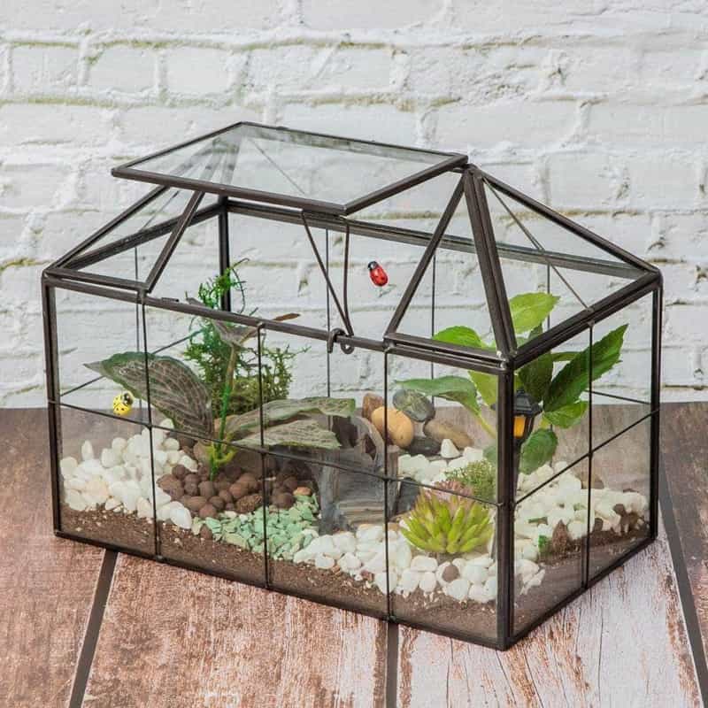 Ferrisland® House Glass Terrarium, Diy Glass Terrarium For Decor