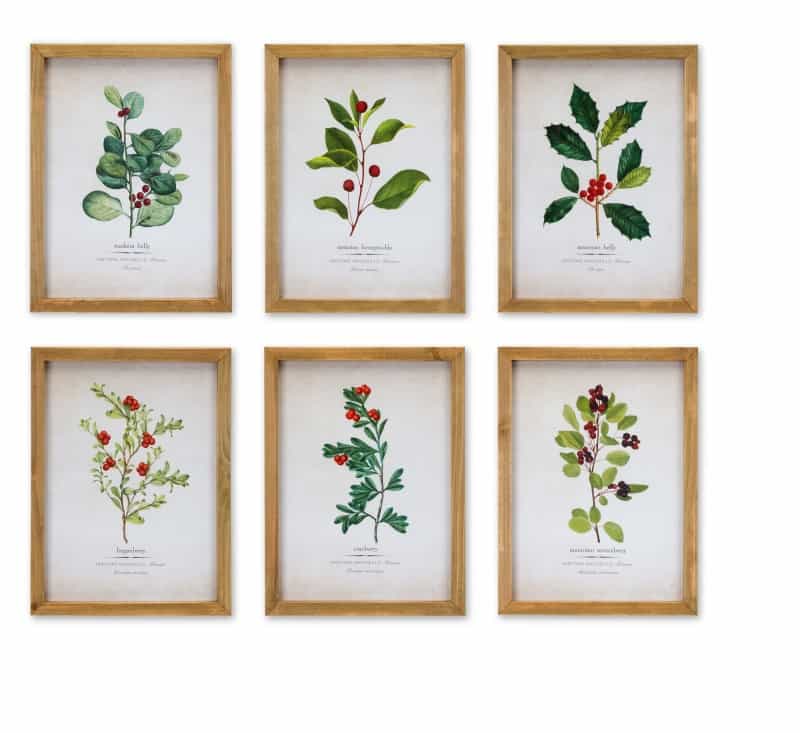 Framed Winter Foliage (Set Of 6) 10.5"L X 14.25"H Paper/Wood/Glass