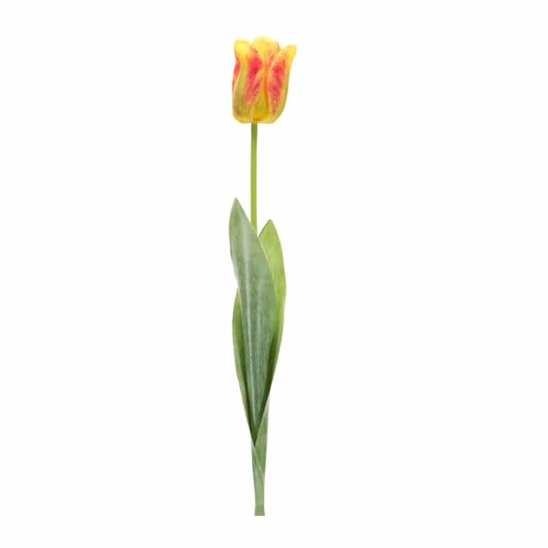 Tulip Stem (Set Of 6) 27”H Polyester/Plastic