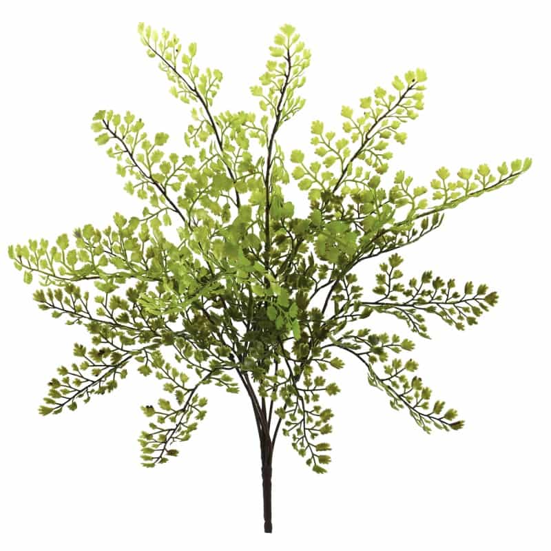 15” Maiden Hair Artificial Plant (Set Of 12)