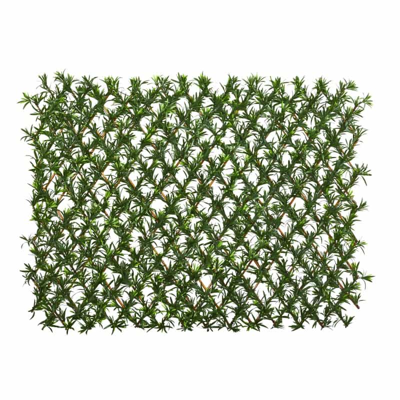 39” Podocarpus Expandable Fence Uv Resistant & Waterproof