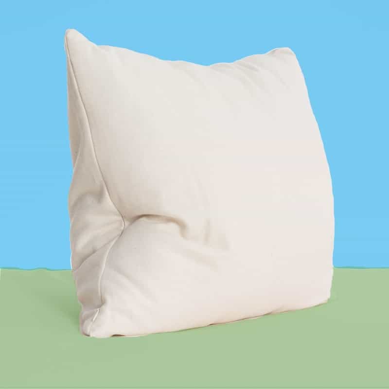 Outer Banks Reversible Organic Buckwheat - Wool Combo Bed Pillow (Grown & Handmade In Usa)