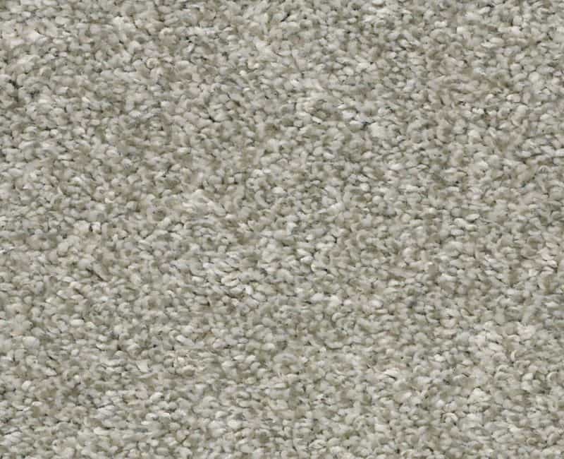 Frappe I London Fog Polyester Carpet - Textured